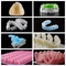 stampa LCD della resina di For Dental Clinics della stampante della resina di 100-240V SLA 3D