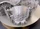Lo SLM di titanio della stampante 3D del grado industriale automatico incorona i sostegni dentari
