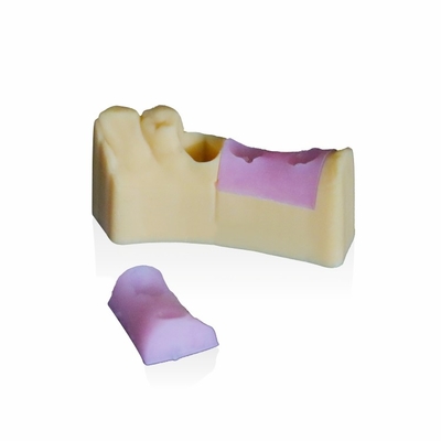 Resina di rosa della gengiva per 3d la stampante di modello dentaria ASTM D2240