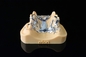 Stampante di titanio di sinterizzazione del metallo del laser di Light Curing Dental della stampante 3D dei denti ceramici